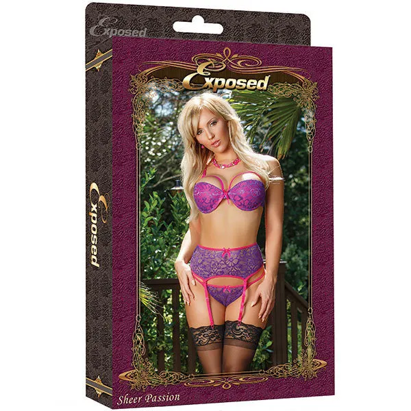 EXPOSED - SHEER PASSION BRA, GARTER & G-STRING - B680